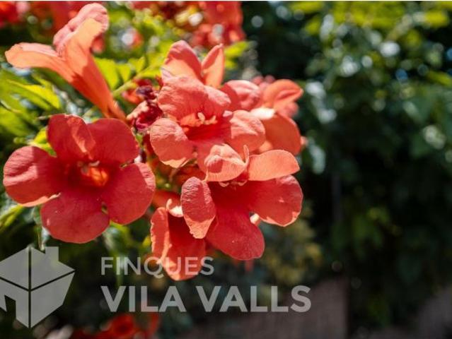 Casa en venta en Caldes De Montbui
