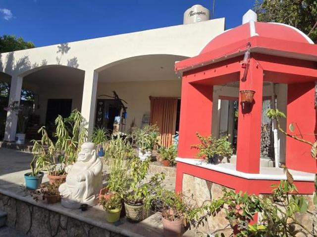 Casa con jardín frutal y gran terreno en Izamal ¡Acepta Bitcoin!