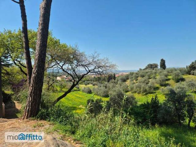 Villa Indipendente in affitto a Quartiere 4, Firenze