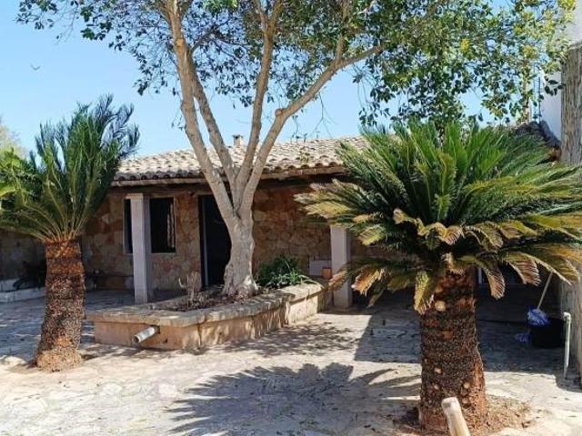 Casa en alquiler en Pla de Mallorca, Baleares