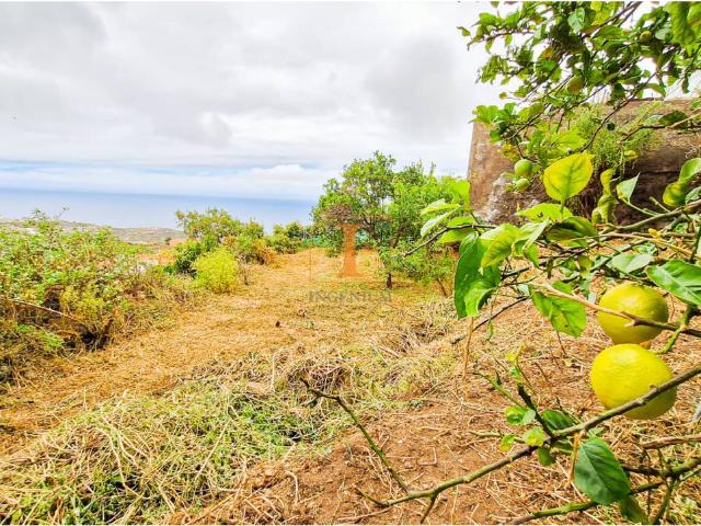Casa en venta en Buen Paso, Icod de los Vinos