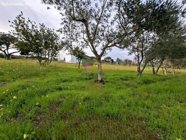 Casa en venta en Barriada San Miguel, Tierra de Badajoz