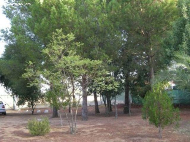 Casa en venta en El Regidor, Alcalá De Guadaíra