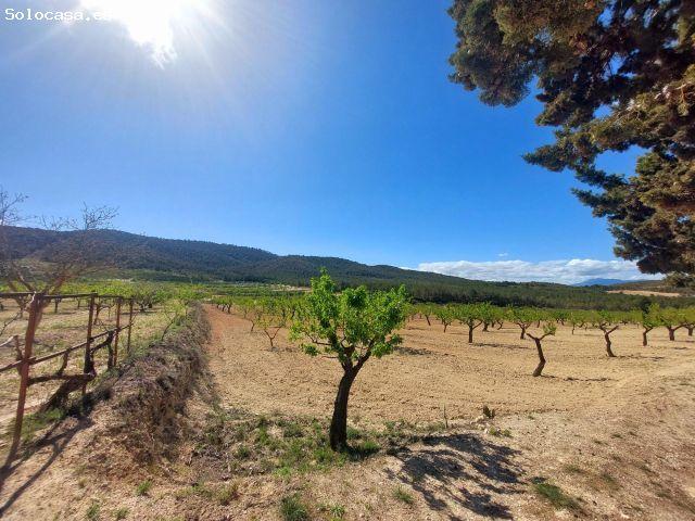 Casa en venta en Mula, Región de Murcia