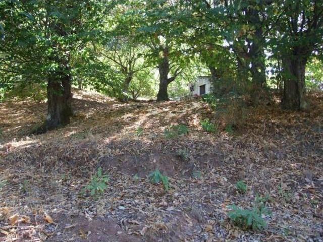Casa en venta en Serranía de Ronda, Andalucía