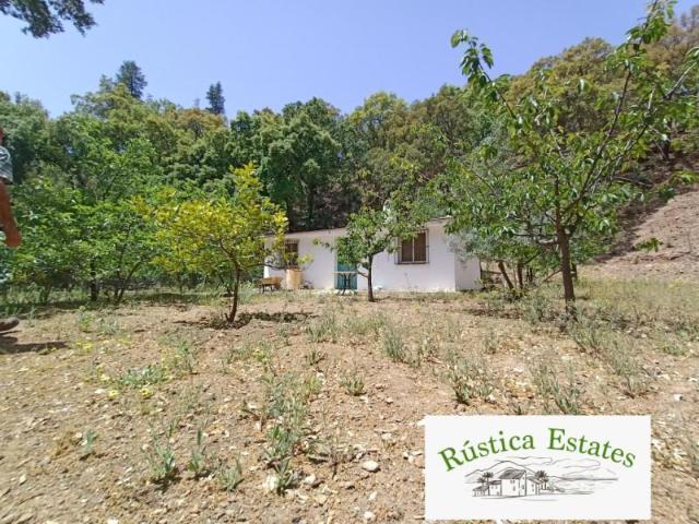Casa en venta en Serranía de Ronda, Andalucía