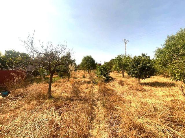 Casa en venta en Son Sardina, Palma