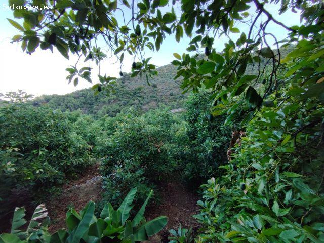 Casa en venta en Yunquera De Henares
