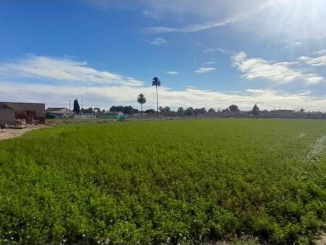 Casa en venta en el Baix Segura / La Vega Baja, Valencia