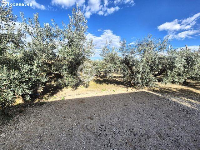 Casa en venta en Rincón de las Coles, Alto Guadalentín