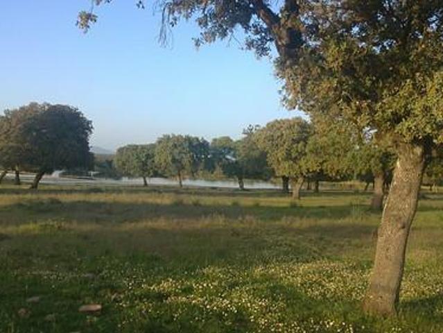 Casa en venta en Coria, Extremadura