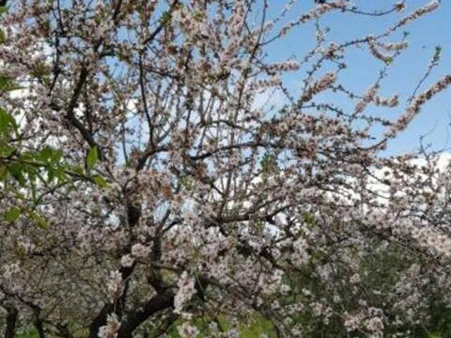 Casa en alquiler en La Axarquía, Andalucía