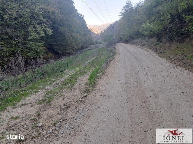 Casă vânzări în Valea Vintului