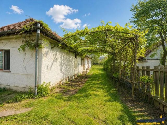 Casă închirieri în Covasna