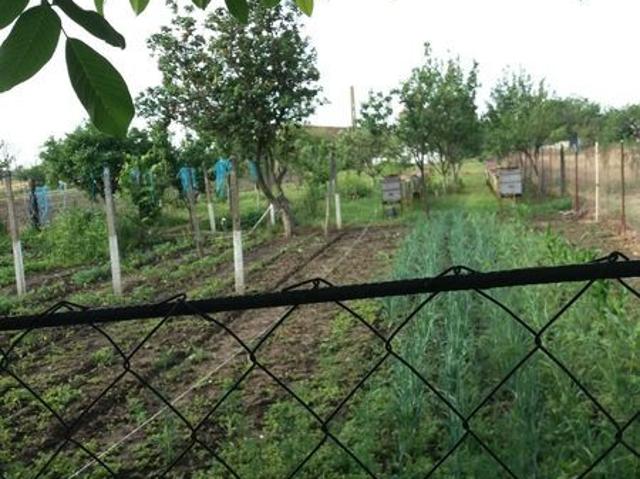Casă vânzări în Gara Cilibia