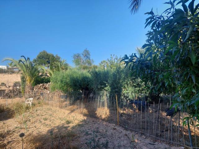 Casa en venta en el Baix Vinalopó, Valencia