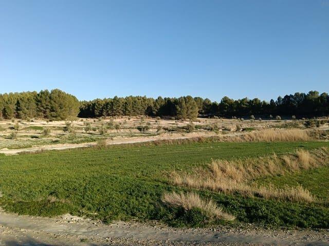 Casa en venta en Comarca de Baza, Andalucía
