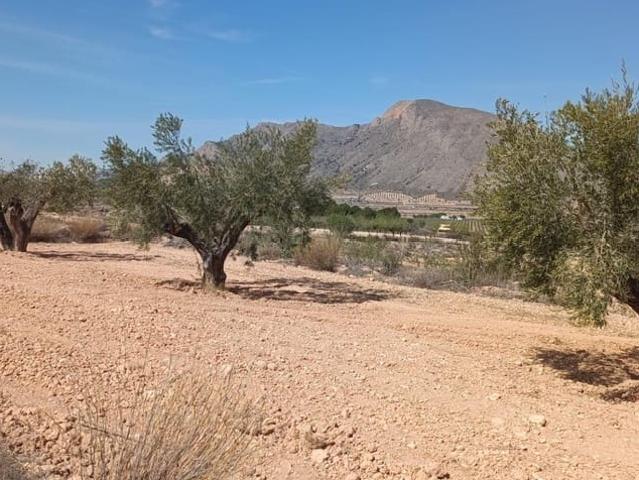 Casa en venta en Barrio Nuevo, el Baix Segura / La Vega Baja
