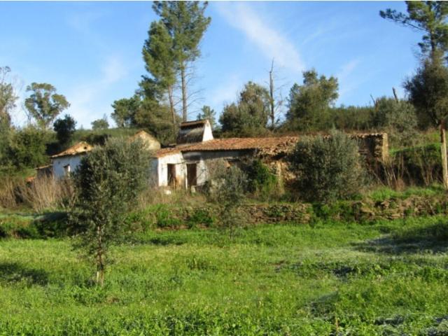 Casa venda em Abrantes, Santarém