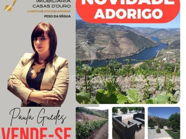 Casa venda em Viseu