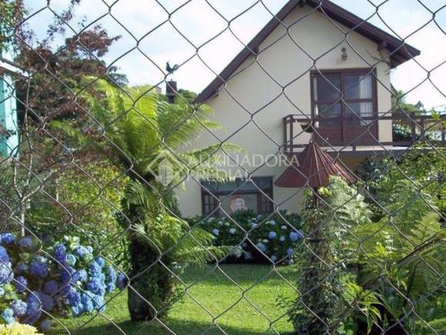 Terreno venda em Canela