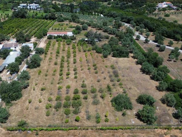 Solar venda em Tavira, Faro