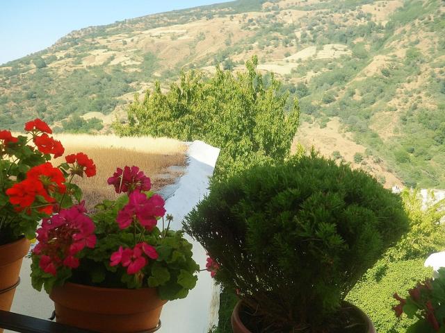 Casa en venta en Capileira, Granada