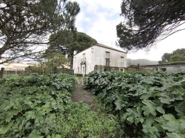 Casa venda em Viana Do Castelo