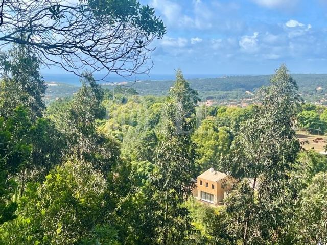 Casa venda em Sintra, Lisboa