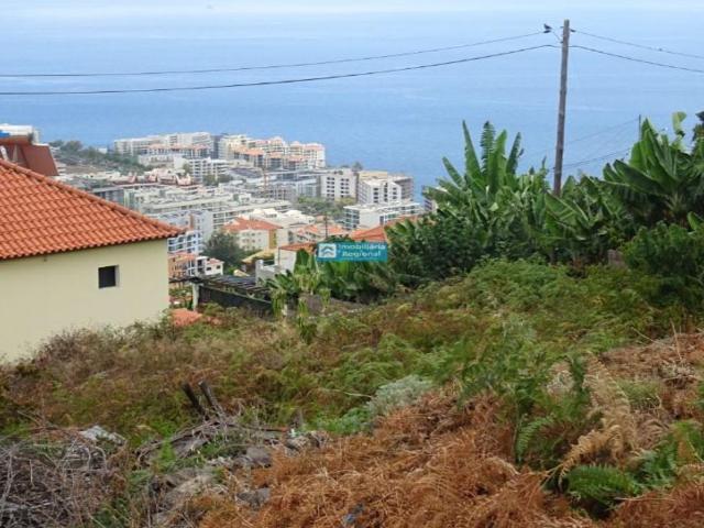 Casa venda em Santa Rita, Funchal