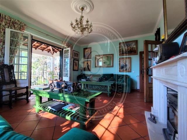 Casa venda em Curvaceiras Grandes, Tomar