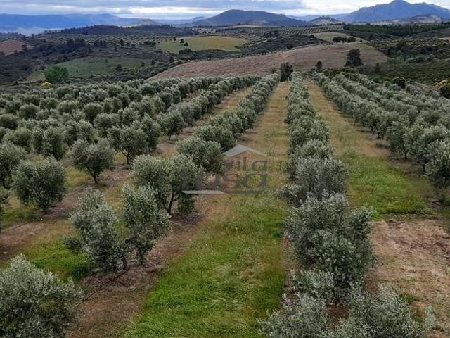 Casa venda em Mirandela, Bragança