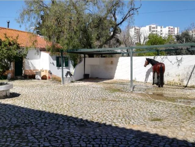 Casa alugar em Casal do Privilégio, Odivelas
