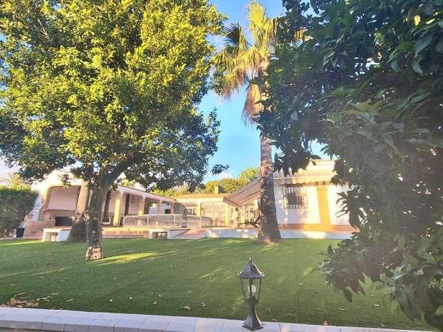 Apartamento en alquiler en Sanlúcar La Mayor, Torrequesada-Camino de Umbrete