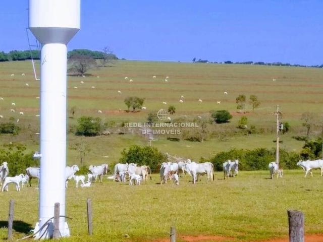 Casa venda em Região Imediata de Bauru, Duartina