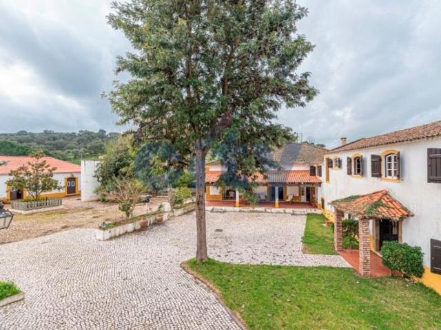 Casa venda em Chamusca e Pinheiro Grande, Chamusca