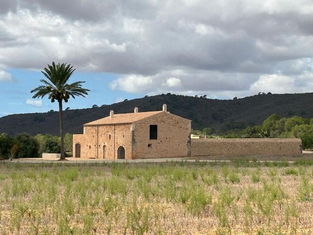 Casa en alquiler en Pla de Mallorca, Baleares