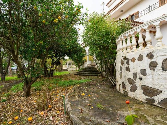 Casa en venta en San José del Álamo, Gran Canaria