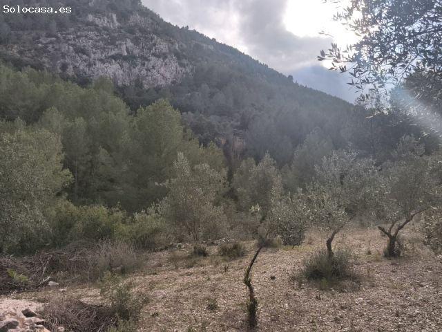 Casa en venta en la Marina Alta, Valencia