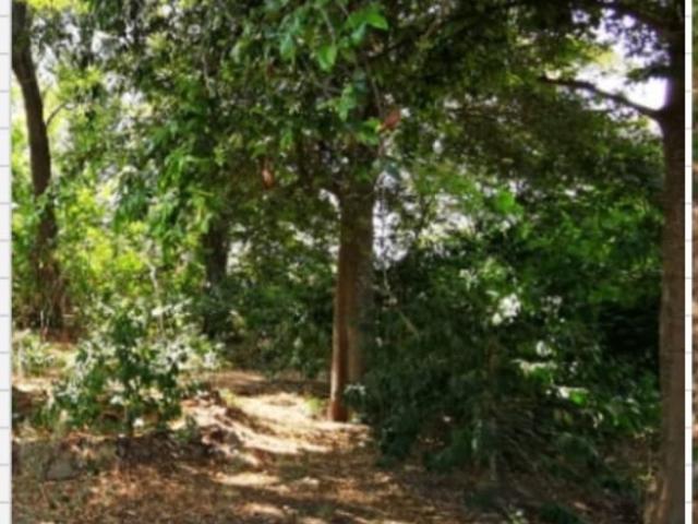 Rancho en venta en Amacueca, Jalisco