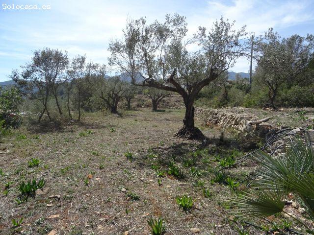 Casa en venta en Alcalalí, Urbanització Benarrosa Garden