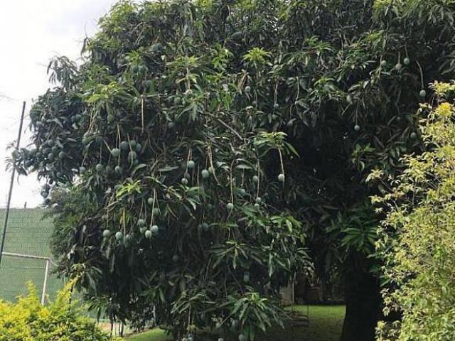 Casa venda em Região Imediata de Jundiaí, Cabreuva