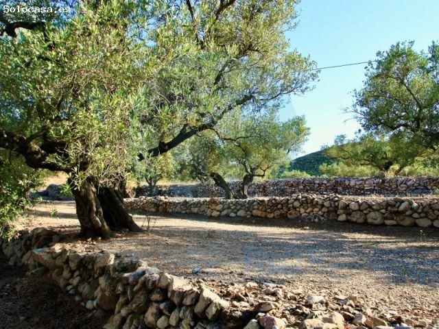 Casa en venta en Baix Ebre, Catalunya