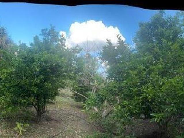 CASA DE CAMPO CERCA DE MÉRIDA YUCATÁN E IZAMAL Y TREN MAYA