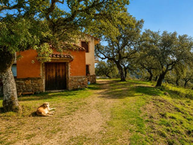 Casa en venta en Sierra de Huelva, Andalucía