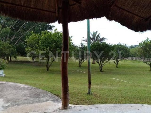 Casa de campo con huerto y piscina en VENTA. Tixkokob, Yucatán. Terreno 1.3 Hct