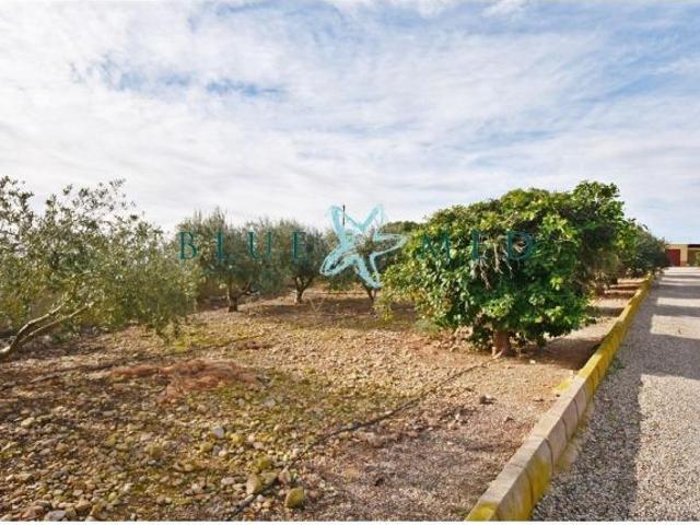 Casa en venta en Balsicas, Bajo Guadalentín