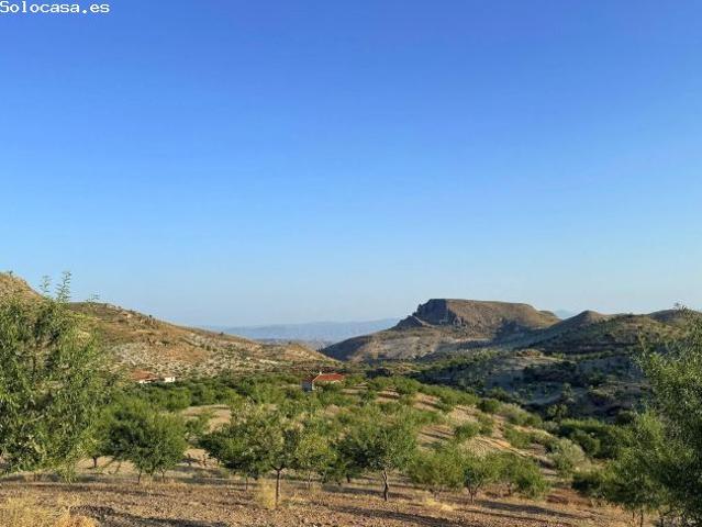 Local Comercial en venta en Valle del Almanzora, Andalucía