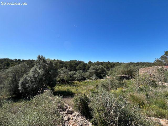 Casa en venta en Pla de Mallorca, Baleares