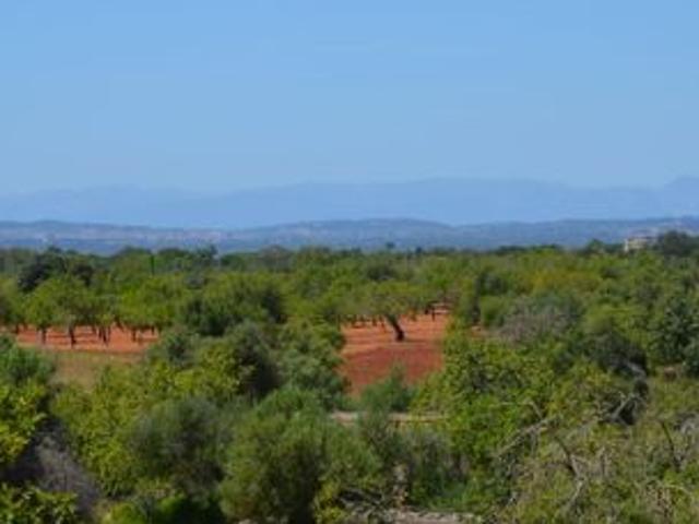 Casa Rural en venta en Felanitx